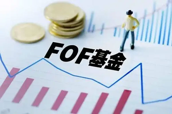 FOF基金年内亏损幅度最大达12%，跑输许多股票型基金