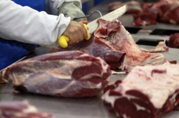 猪肉概念股全线上涨,相关上市公司也纷纷发布业绩公告