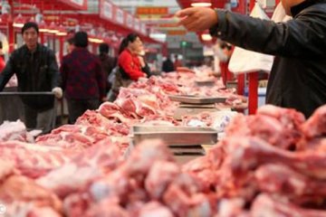 温氏、牧原股份一季度生猪销量大幅度下降，猪肉价格连连下跌