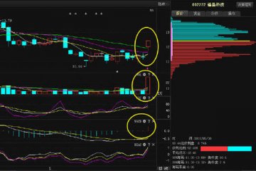 ARM系统芯片制造商全志科技涨停,瑞芯微大涨超7%
