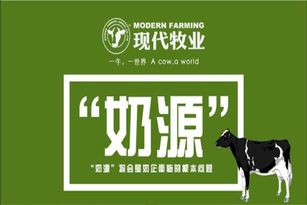 现代牧业上半年成乳牛年单产突破了11吨，净收益约6700万元