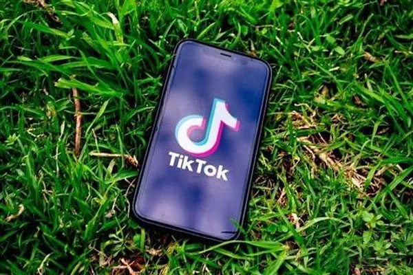 TikTok已选定卖家，交易可能推迟至11月美国大选之后
