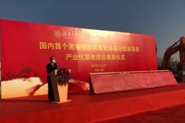 全球疫苗研发进入冲刺阶段，国内首个黑猩猩腺病毒载体落户北