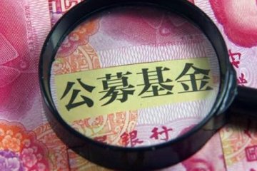 40份公募基金披露2020年年报,净利润均呈双位数增长