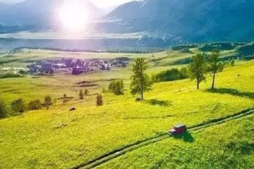 农林牧渔、休闲服务等消费板块强势拉升，食品饮料板块涨幅达