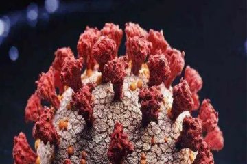 奥密克戎毒株在美国加速传播，四次打破确诊数值的纪录