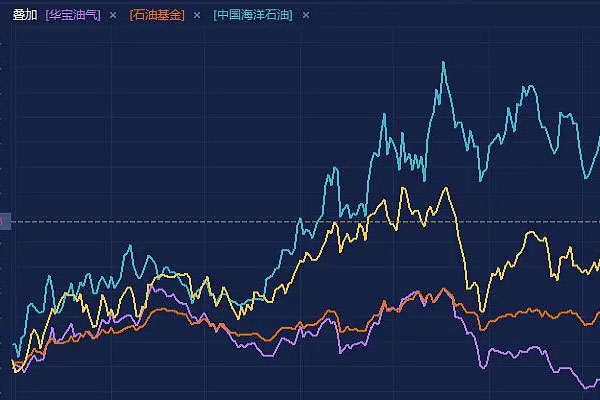 首个业绩10%来自油气基金，华宝标普年内收益率已达12.51%