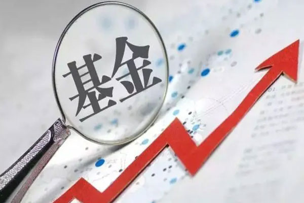 银河龙头股票基金2021年跌幅，业绩排名倒数第三